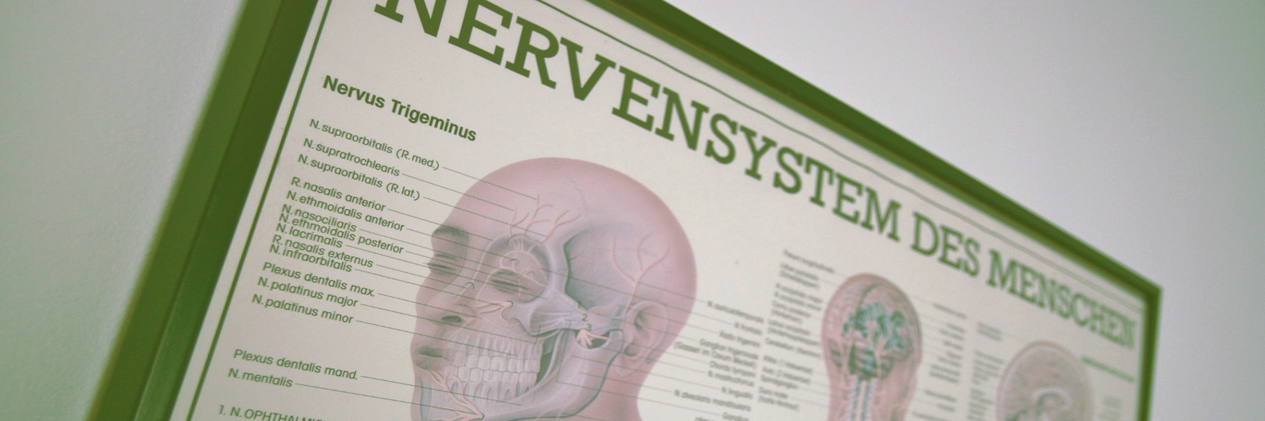 A short description about the picture goes here